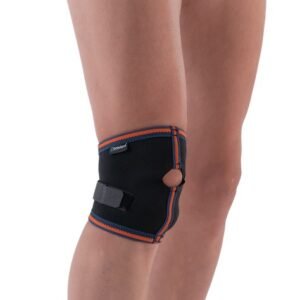 Patella Tendon Dizliği
